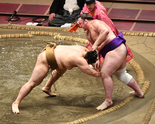 輝(左)は栃ノ心を押し出しで破る(撮影・柴田隆二)