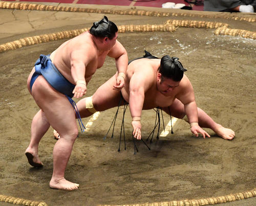 正代(左)は貴景勝を突き落としで破る(撮影・柴田隆二)