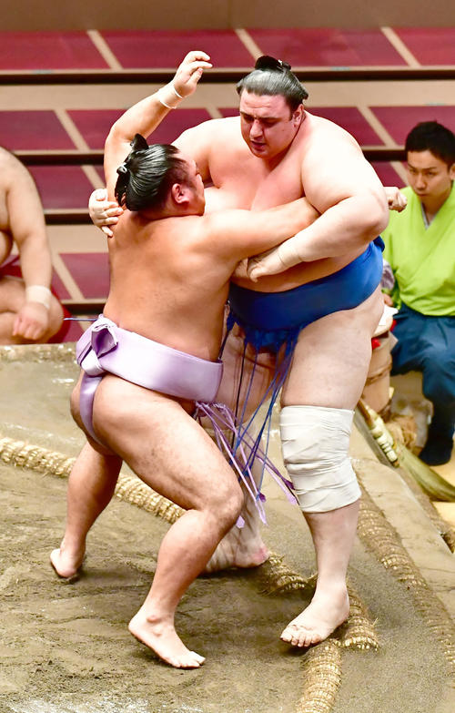 琴恵光(左)は寄り切りで碧山を破る(撮影・小沢裕)
