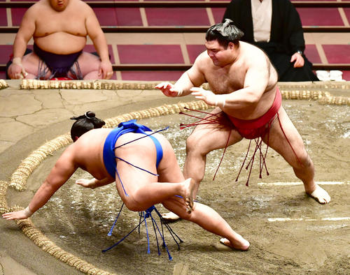 琴勝峰(左)の付き手で勝利をものにした高安(撮影・小沢裕)