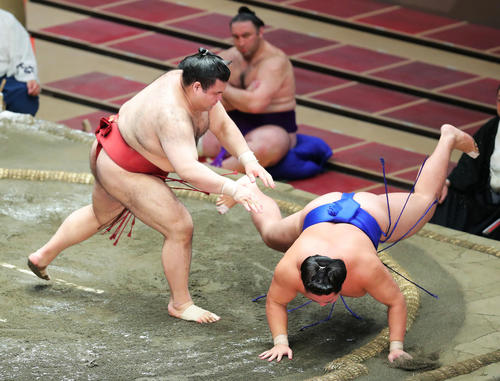 つき手のため琴勝峰(右)が高安に敗れる(撮影・河田真司)