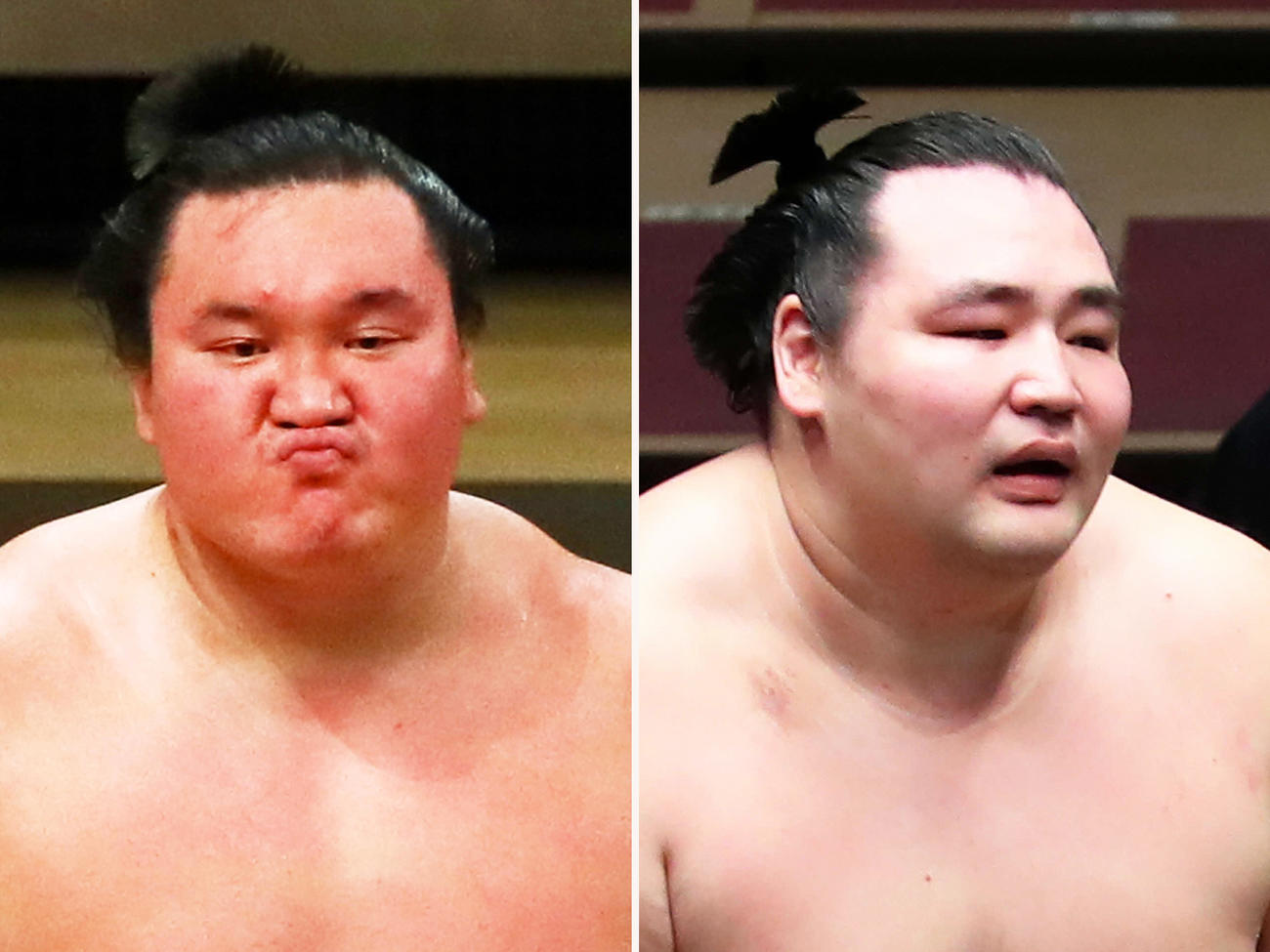 横綱白鵬（左）と鶴竜