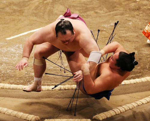 琴勝峰（右）を押し倒しで破る宝富士（撮影・野上伸悟）
