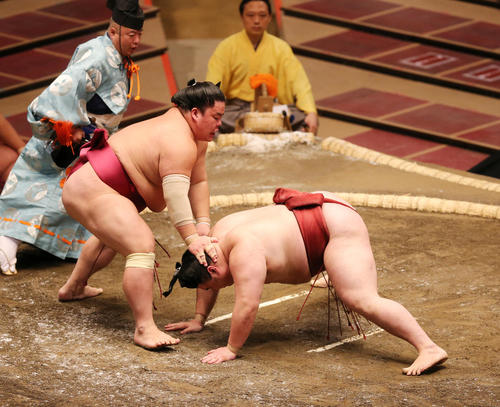 隆の勝（右）を突き落としで破る大栄翔（撮影・野上伸悟）