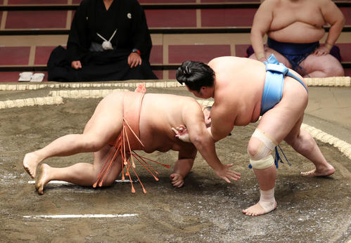 千代大龍（左）を肩すかしで破る琴ノ若（撮影・鈴木正人）