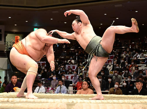 炎鵬（右）は八艘（はっそう）飛びで魁聖の後ろまわしを狙うも不発に終わり魁聖に押し倒しで敗れる（撮影・小沢裕）