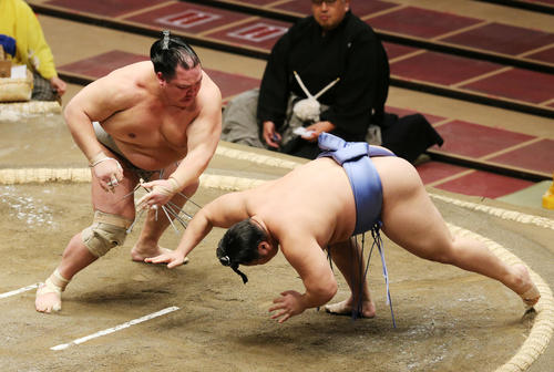翔猿（右）を突き落としで破る北勝富士（撮影・野上伸悟）