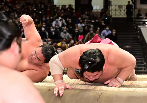 御嶽海（左）は大栄翔に突き落としで敗れる（撮影・小沢裕）