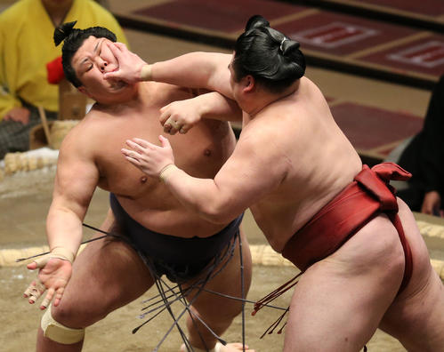 阿武咲（左）に突っ張りをする隆の勝（撮影・野上伸悟）