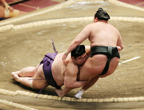 明瀬山（左）を突き落としで破る千代翔馬（撮影・野上伸悟）