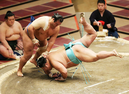 天空海（右）をはたき込みで破る千代の国（撮影・野上伸悟）