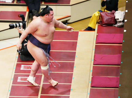 照ノ富士に押し出された阿武咲（撮影・河田真司）