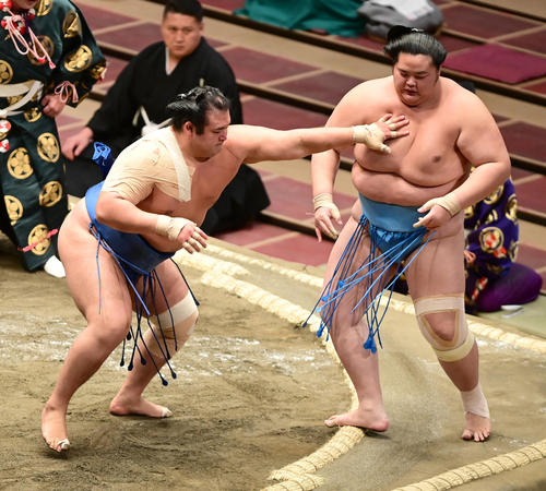 千代の国（左）は押し出しで琴ノ若を破る（撮影・小沢裕）