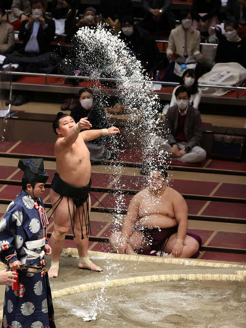 豪快に塩をまく照強（撮影・鈴木正人）