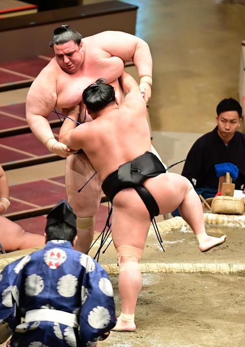照強は碧山（左）を押し出しで破る（撮影・小沢裕）