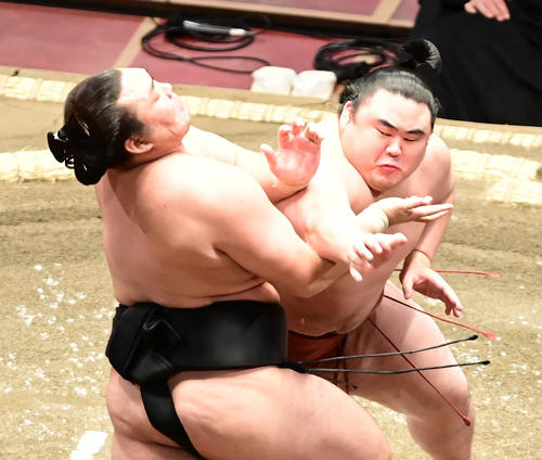 霧馬山（左）を突き押しで攻める隆の勝（撮影・小沢裕）