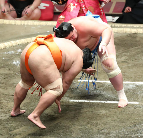 琴ノ若（右）の攻めに耐える志摩ノ海（撮影・河田真司）