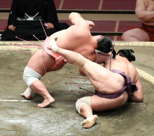 旭秀鵬（右）を居反りで破る宇良（撮影・河田真司）