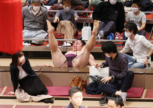 栃ノ心に寄り切りで敗れマス席付近で倒れる遠藤（撮影・鈴木正人）