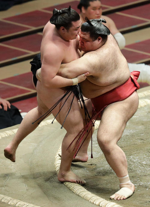 霧馬山（左）を寄り切りで破る高安（撮影・中島郁夫）