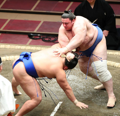 琴勝峰（左）をはたき込みで破る碧山（撮影・河田真司）