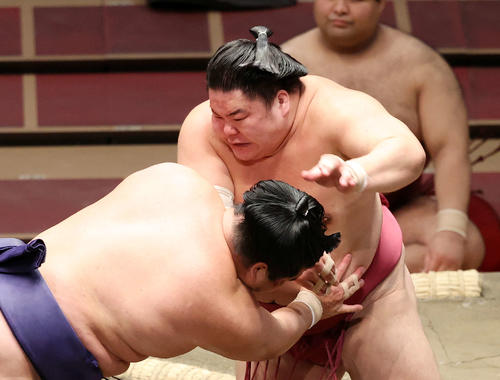 妙義龍（左）を激しく攻める大栄翔（撮影・鈴木正人）