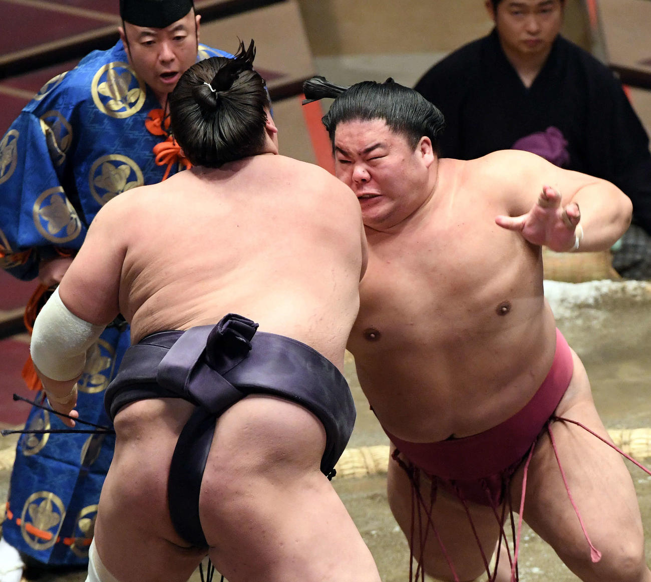 照ノ富士（手前）を攻める大栄翔（撮影・滝沢徹郎）