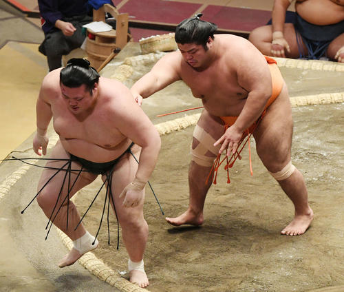 豊山（左）を送り出しで破る志摩ノ海（撮影・滝沢徹郎）