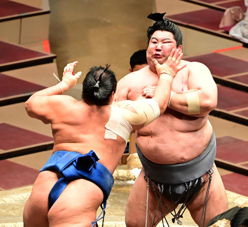 千代の国（左）の突き押しを受ける徳勝龍＝2020年11月16日