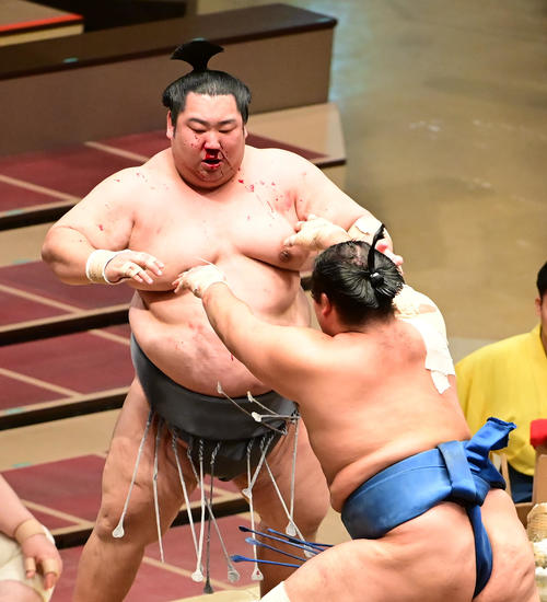 千代の国は突き出しで徳勝龍（左）を破る＝2020年11月16日