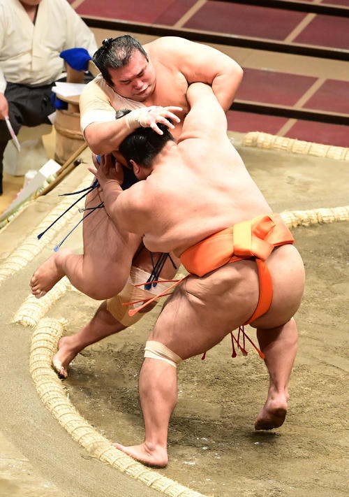 志摩ノ海（手前）は千代の国を寄り切りで破る（撮影・小沢裕）