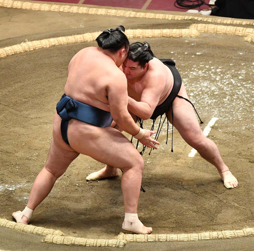 竜電（右）は玉鷲を押し出しで破る（撮影・柴田隆二）