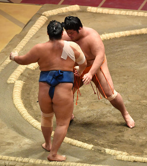 志摩ノ海（右）は千代の国を寄り切りで破る（撮影・柴田隆二）