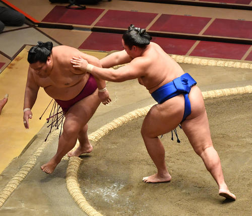 琴勝峰（右）は御嶽海を送り出しで破る（撮影・柴田隆二）
