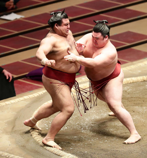 高安（左）を押し出しで破った隆の勝（撮影・丹羽敏通）
