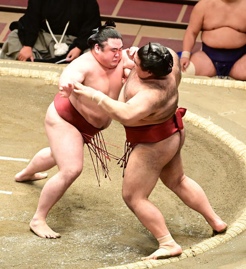 隆の勝（左）は押し出しで高安を破る（撮影・小沢裕）