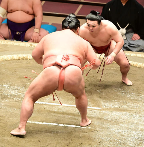 立ち合い後に千代大龍（左）と距離を取る炎鵬（撮影・小沢裕）