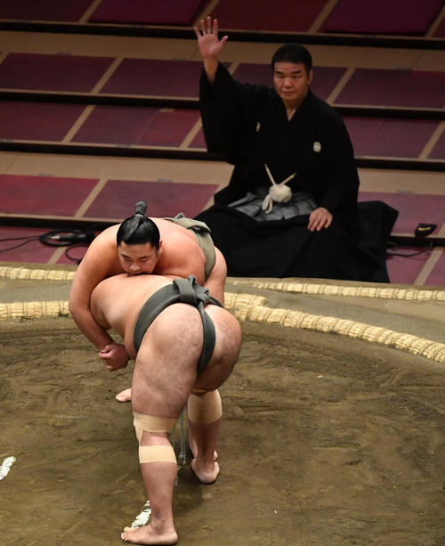 大相撲11月場所11日目　幕下の前半戦で北大地と千代の勝の一番は取組時間が長時間のため「二番後取り直し」となった（撮影・柴田隆二）
