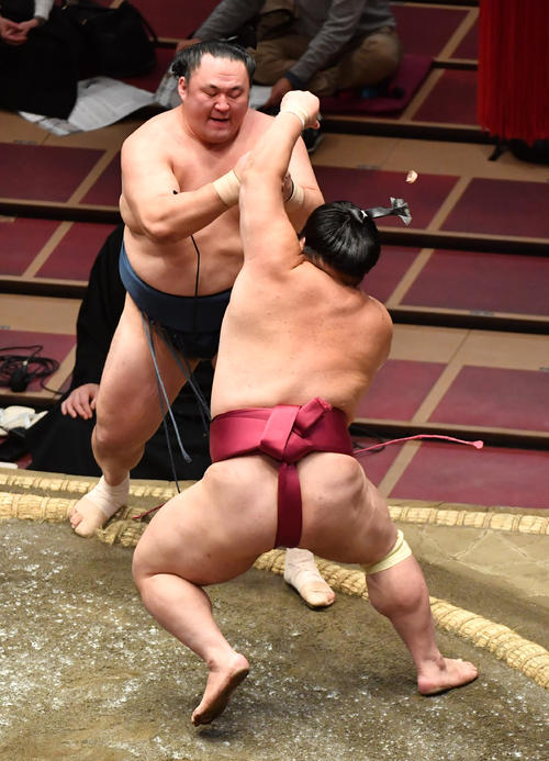 玉鷲（奥）は大栄翔に突き出しで敗れる（撮影・柴田隆二）