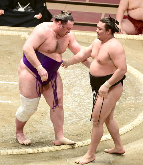 栃ノ心は霧馬山（右）を寄り切りで破る（撮影・小沢裕）