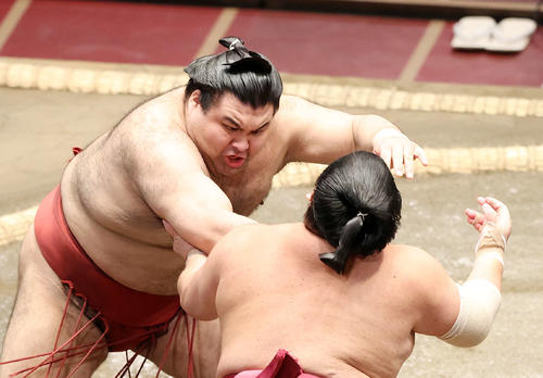 大栄翔(右)を激しく攻める高安(撮影・鈴木正人)