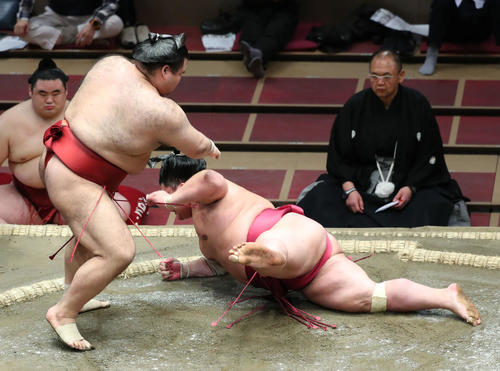 大栄翔(右)をはたき込みで破る高安(撮影・河田真司)