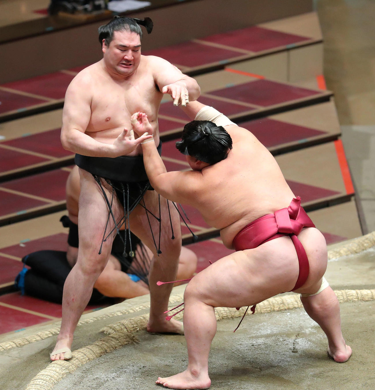 竜電（左）を押し出しで破る大栄翔（撮影・河田真司）