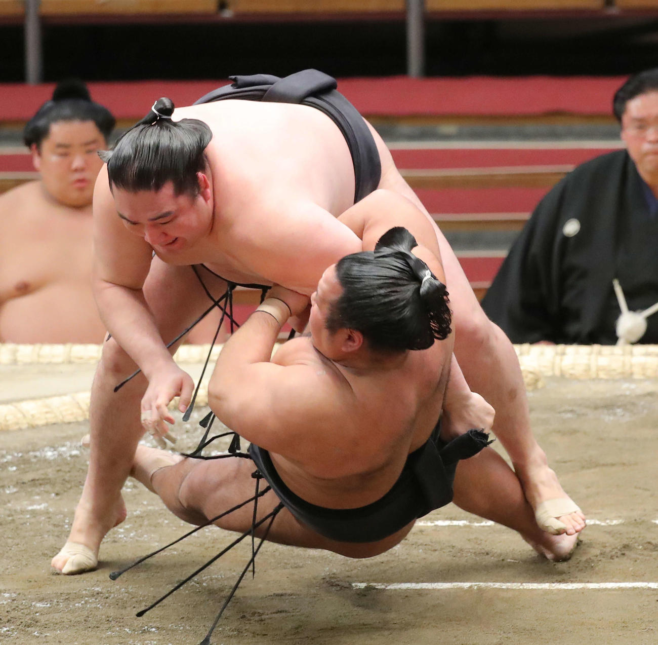 松鳳山（右）を浴びせ倒し（2020年3月14日撮影）