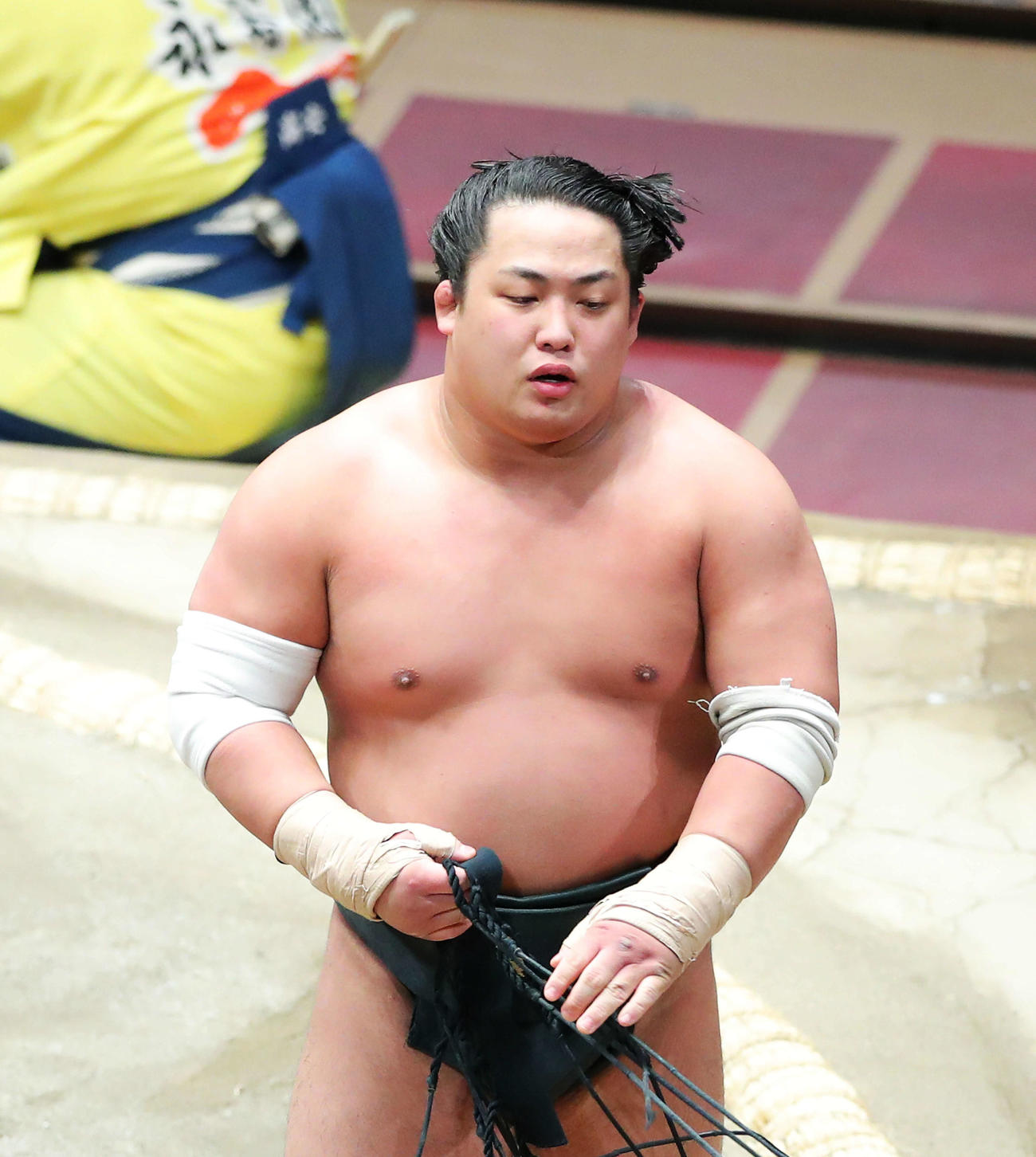翠富士