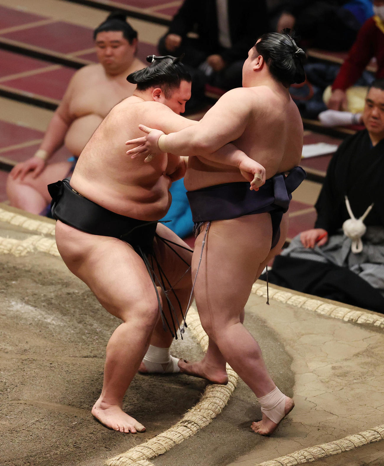 阿武咲（右）を寄り切りで破る朝乃山（撮影・野上伸悟）