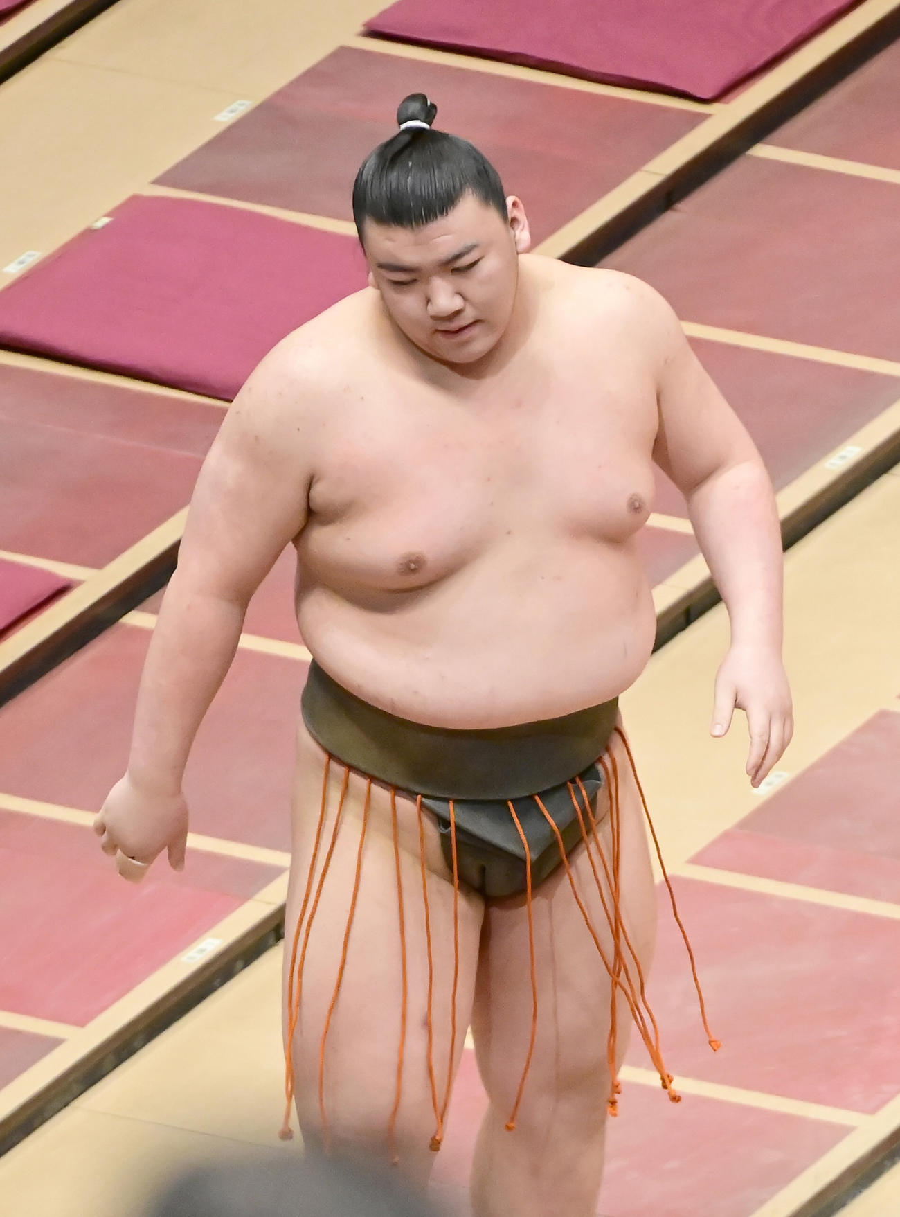 朝鬼神に押し出しで敗れがっくりと引き揚げる夢道鵬（撮影・小沢裕）