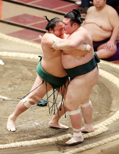 豊山（右）を寄り切りで破る佐田の海（撮影・鈴木正人）