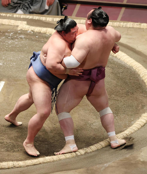宝富士（右）を寄り切りで破る正代（撮影・野上伸悟）