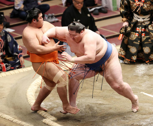 志摩ノ海（左）を押し出しで破る逸ノ城（撮影・鈴木正人）